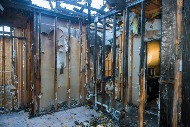 Professional Fire Damage Removal technician working in Gerald, MO